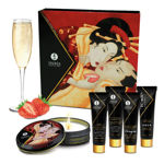 SHUNGA-SECRET-GEISHA-SET