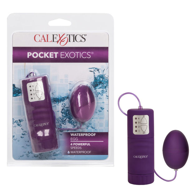 Pocket-Exotics-Waterproof-Egg-Purple