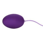 Pocket-Exotics-Waterproof-Egg-Purple