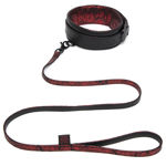 FSOG-Sweet-Anticipation-Collar-Lead