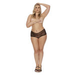 SPLIT-LACE-PANTY-PLUS-SIZE