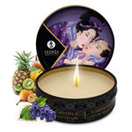 Shunga-Secret-de-Geisha-Fruits-Exotics