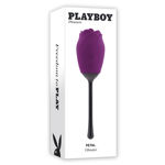 Playboy-Petal